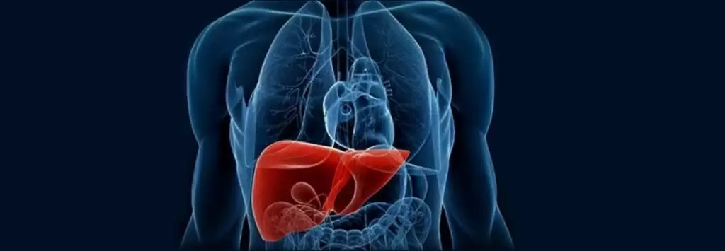 Liver Transplantation title image