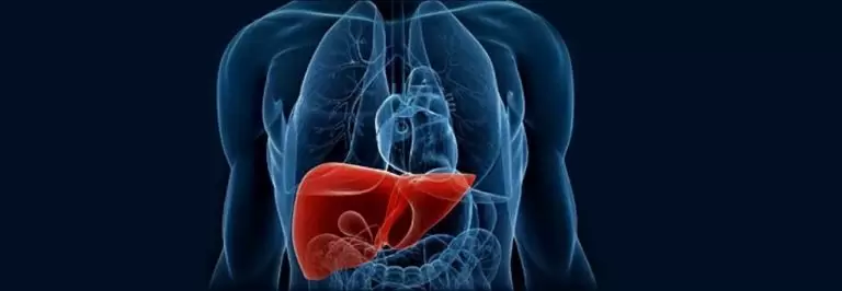 Meditravelist Liver Transplantation 1 2