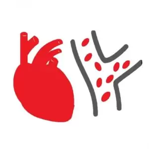 Cardiovascular surgery icon image